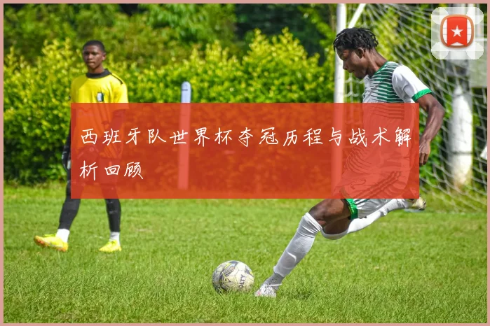 西班牙队世界杯夺冠历程与战术解析回顾