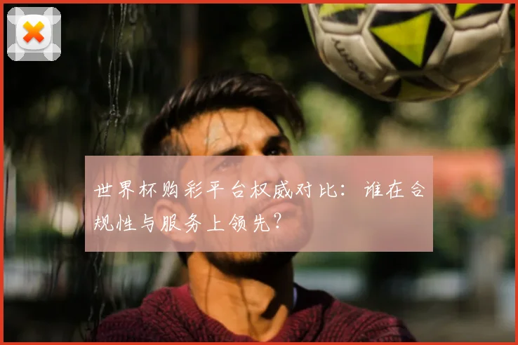 世界杯购彩平台权威对比:谁在合规性与服务上领先?