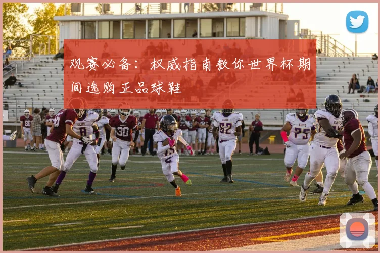 观赛必备:权威指南教你世界杯期间选购正品球鞋