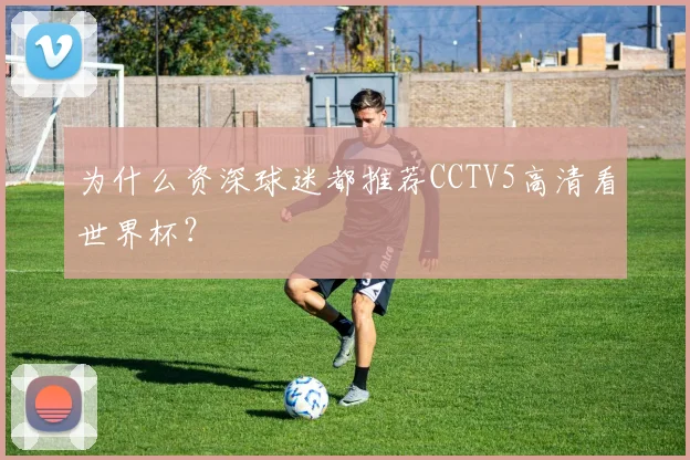 为什么资深球迷都推荐CCTV5高清看世界杯?