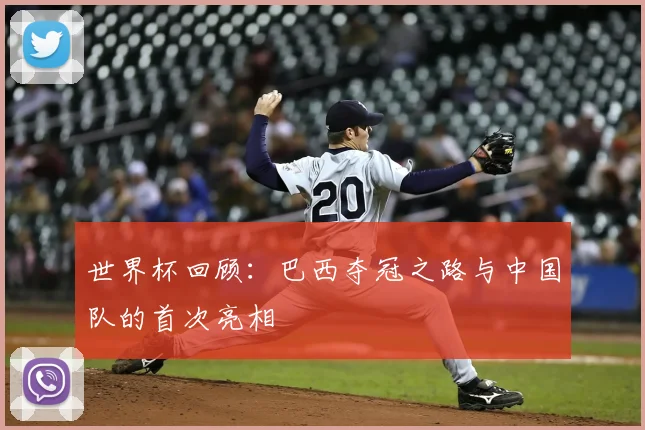 世界杯回顾:巴西夺冠之路与中国队的首次亮相