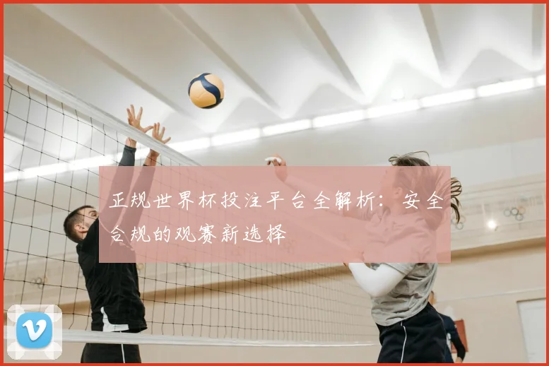 正规世界杯投注平台全解析：安全合规的观赛新选择