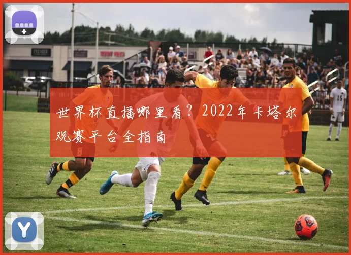 世界杯直播哪里看？2022年卡塔尔观赛平台全指南