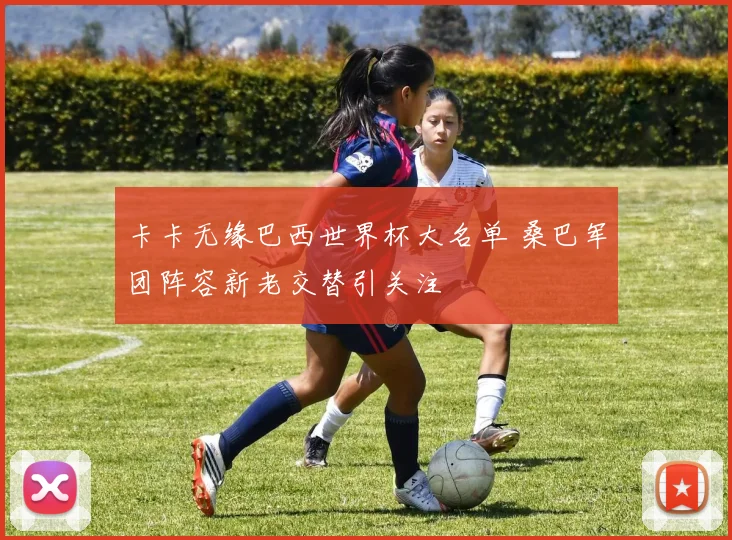 卡卡无缘巴西世界杯大名单 桑巴军团阵容新老交替引关注