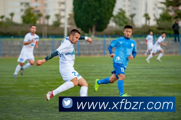 巅峰国际app登录入口平台生态图